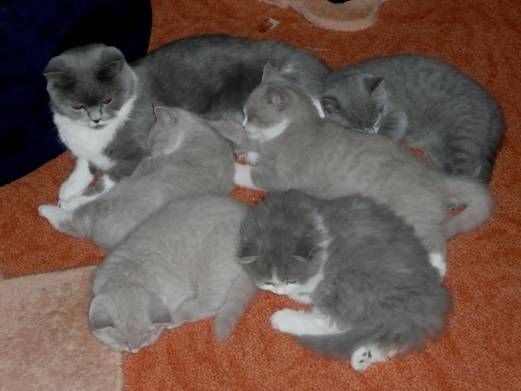 Kuscheln mit Mama.jpg