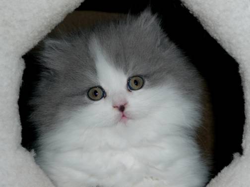 Debby 10.jpg