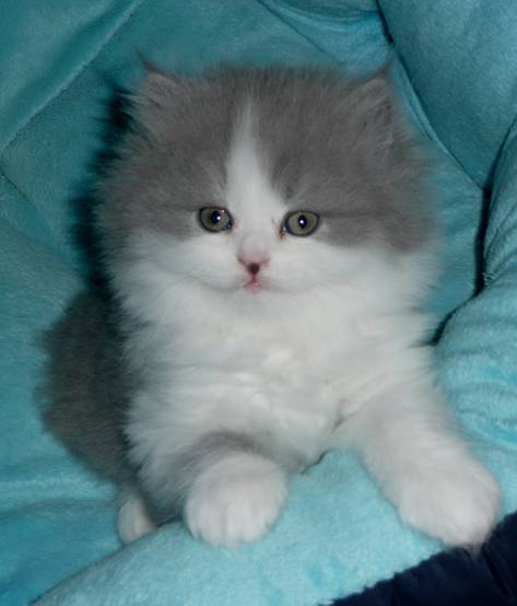 Bebby 1.jpg