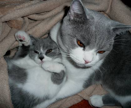 Kuscheln 1.jpg