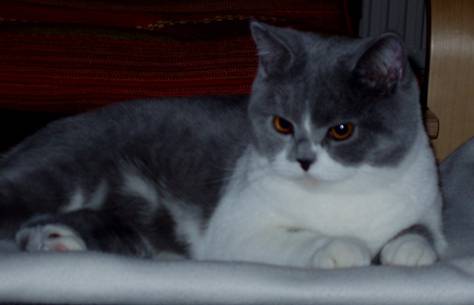 Belle u.Bonita 7.jpg
