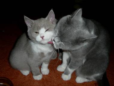 Dusty und Mama3.jpg