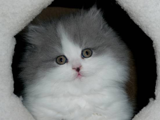 Debby 10.jpg