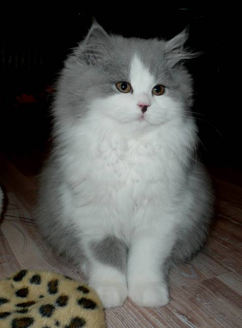 Debby12.jpg