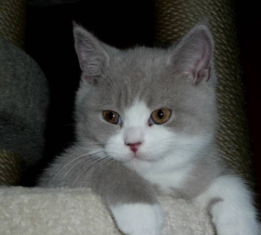 Dusty 13.jpg
