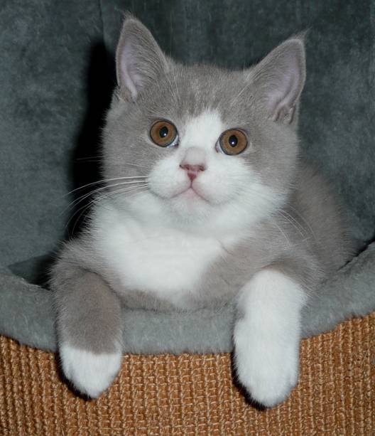 Dusty 14.jpg