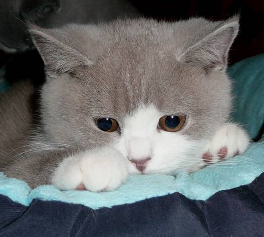 Dusty 16.jpg
