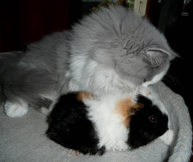 Debby und Teddy 1.jpg