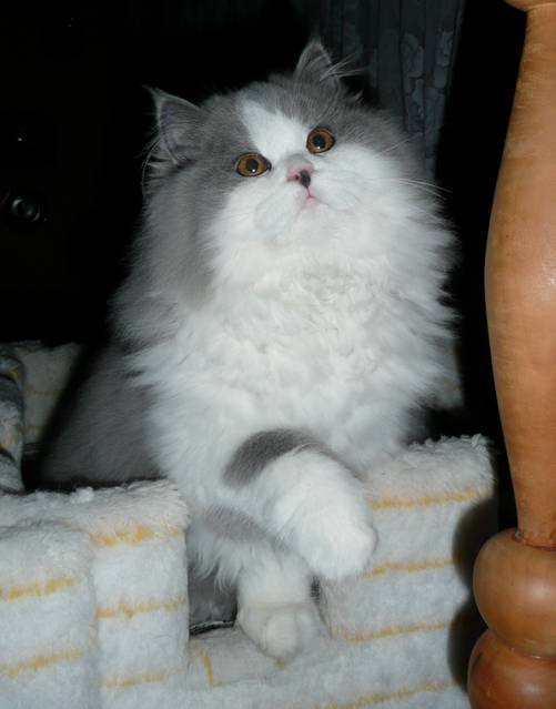 Debby.jpg