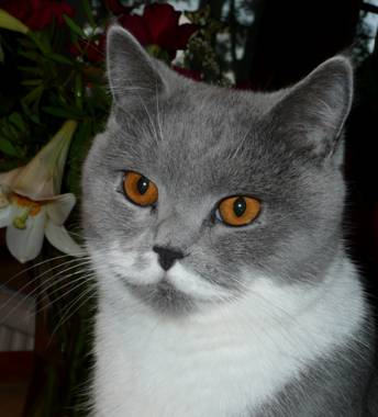 Antonia 1.jpg