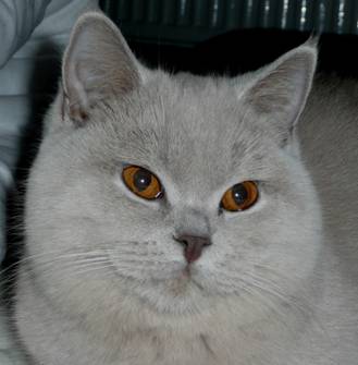 Antonia 1.jpg